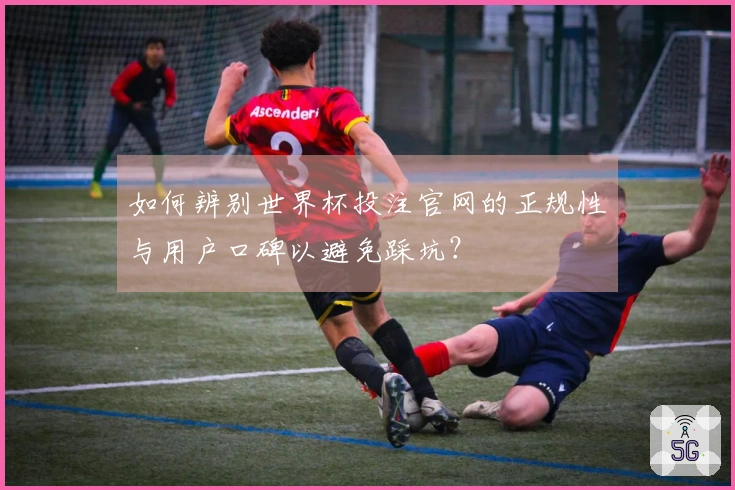 如何辨别世界杯投注官网的正规性与用户口碑以避免踩坑?