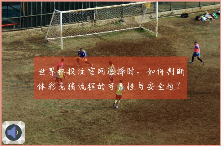 世界杯投注官网选择时，如何判断体彩竞猜流程的可靠性与安全性？