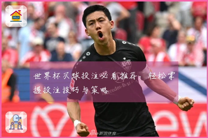 世界杯买球投注必看推荐，轻松掌握投注技巧与策略