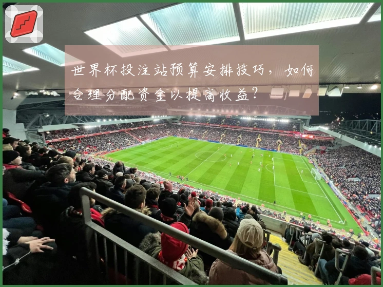 世界杯投注站预算安排技巧，如何合理分配资金以提高收益？