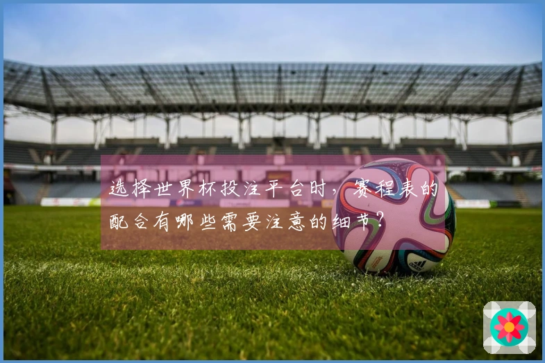 选择世界杯投注平台时，赛程表的配合有哪些需要注意的细节？