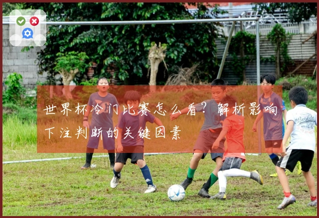 世界杯冷门比赛怎么看？解析影响下注判断的关键因素