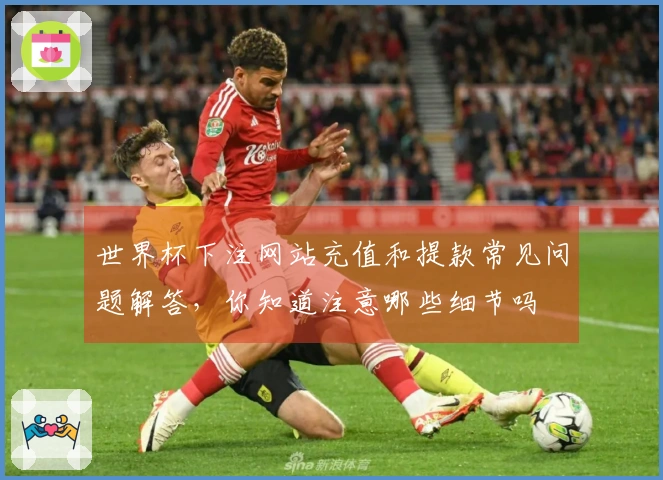 世界杯下注网站充值和提款常见问题解答，你知道注意哪些细节吗