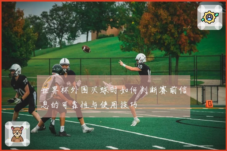 世界杯外围买球时如何判断赛前信息的可靠性与使用技巧