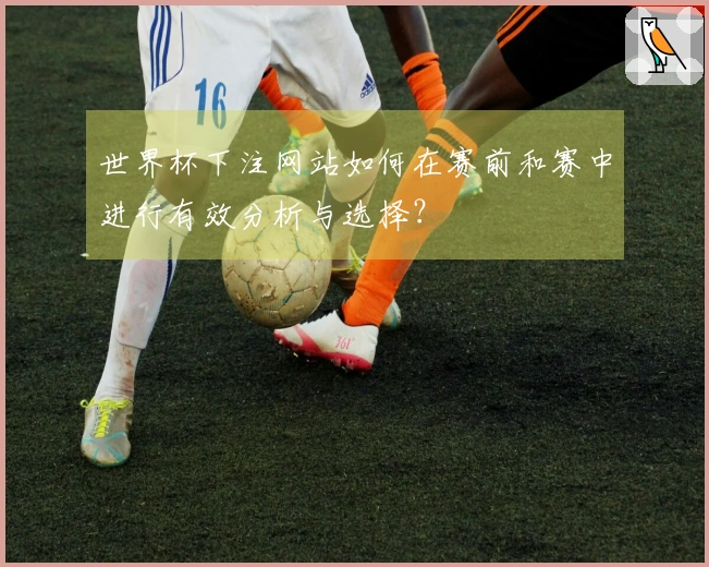 世界杯下注网站如何在赛前和赛中进行有效分析与选择？