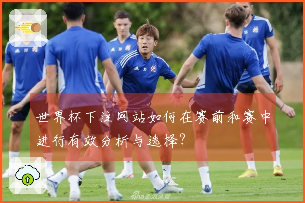 世界杯下注网站如何在赛前和赛中进行有效分析与选择?