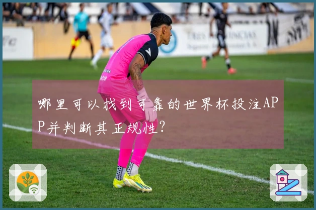 哪里可以找到可靠的世界杯投注APP并判断其正规性？