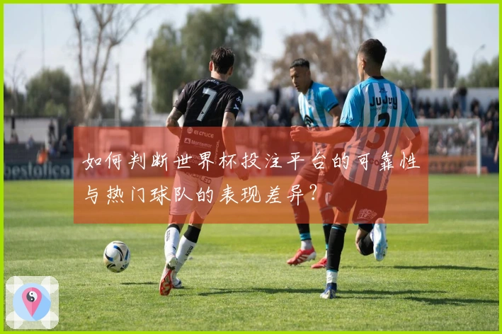 如何判断世界杯投注平台的可靠性与热门球队的表现差异？