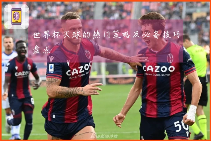 世界杯买球的热门策略及必备技巧盘点