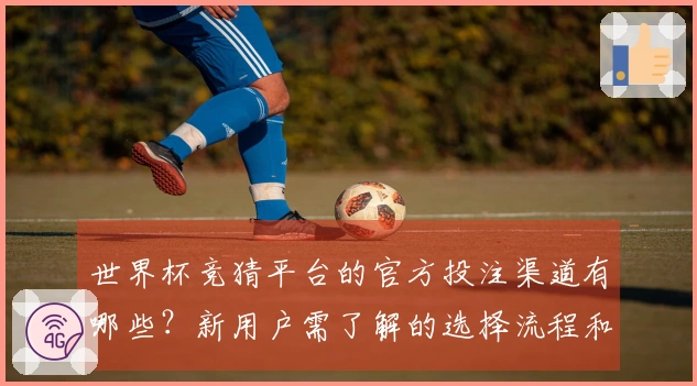 世界杯竞猜平台的官方投注渠道有哪些？新用户需了解的选择流程和注意事项