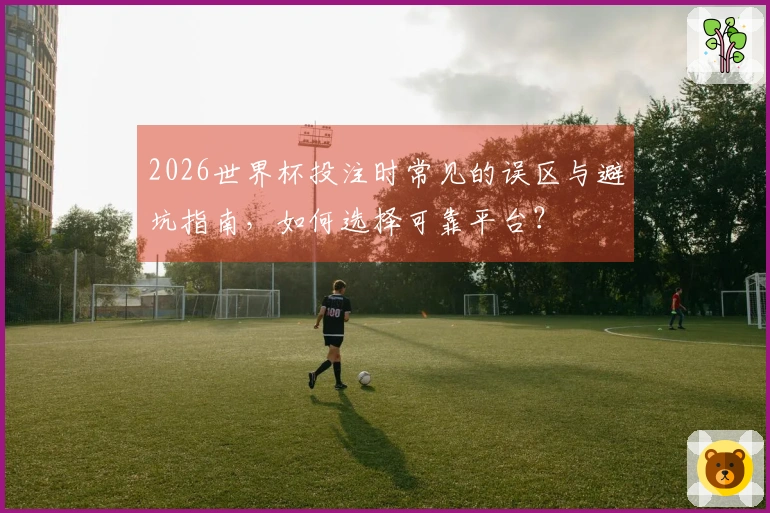 2026世界杯投注时常见的误区与避坑指南，如何选择可靠平台？