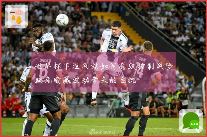 世界杯下注网站如何有效控制风险避免输赢波动带来的困扰