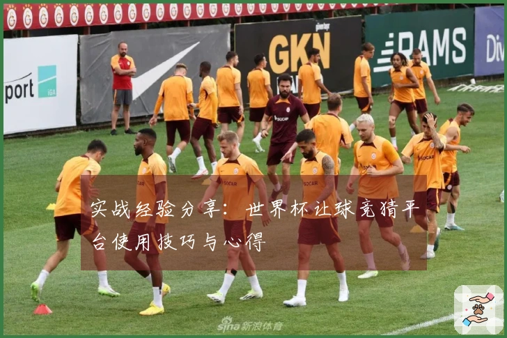 实战经验分享：世界杯让球竞猜平台使用技巧与心得