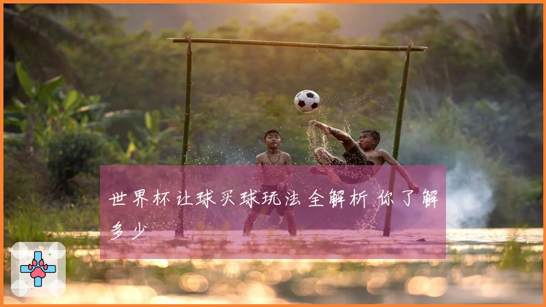 世界杯让球买球玩法全解析 你了解多少