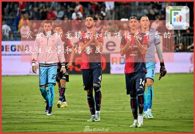 买世界杯竞猜前如何评估各平台的投注记录和信誉度