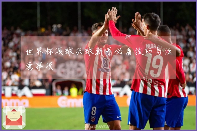 世界杯滚球买球新手必看技巧与注意事项