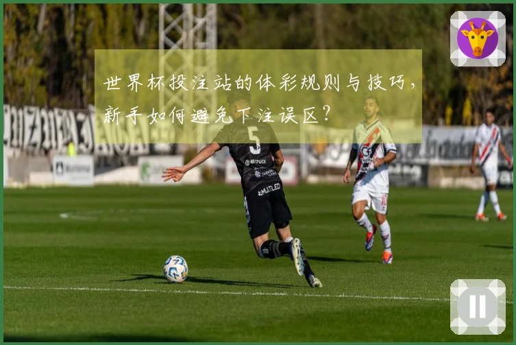 世界杯投注站的体彩规则与技巧，新手如何避免下注误区？