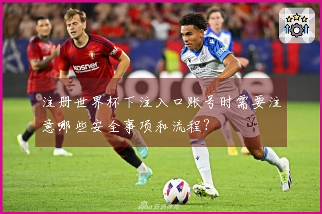 注册世界杯下注入口账号时需要注意哪些安全事项和流程?