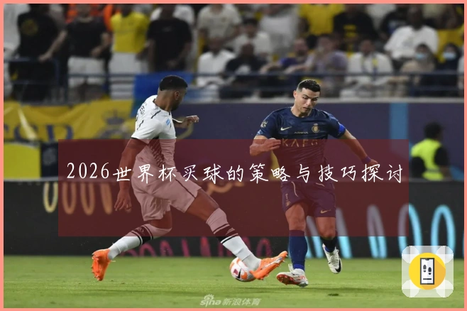 2026世界杯买球的策略与技巧探讨