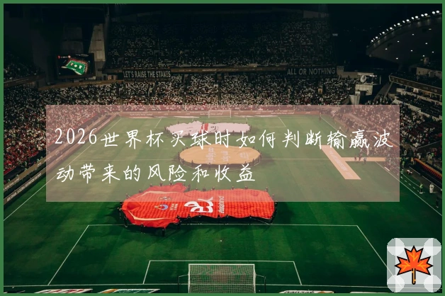 2026世界杯买球时如何判断输赢波动带来的风险和收益