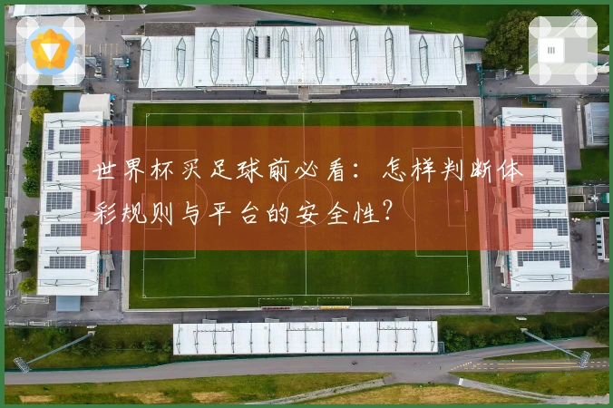 世界杯买足球前必看：怎样判断体彩规则与平台的安全性？