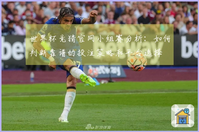 世界杯竞猜官网小组赛分析：如何判断靠谱的投注策略和平台选择