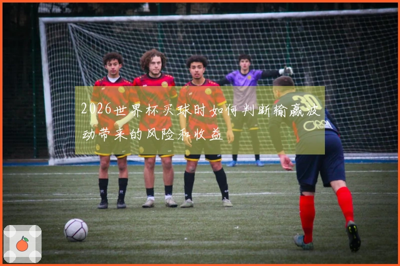 2026世界杯买球时如何判断输赢波动带来的风险和收益
