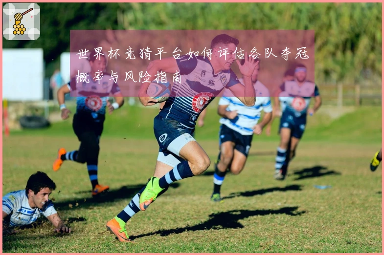世界杯竞猜平台如何评估各队夺冠概率与风险指南