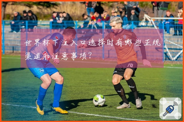 世界杯下注入口选择时有哪些正规渠道和注意事项？