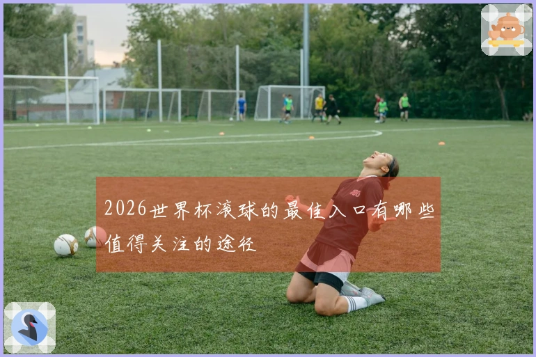 2026世界杯滚球的最佳入口有哪些值得关注的途径