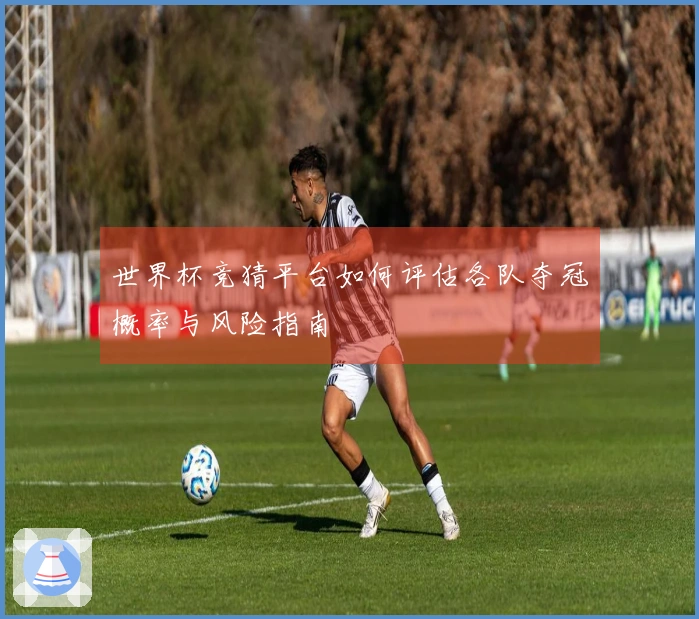 世界杯竞猜平台如何评估各队夺冠概率与风险指南