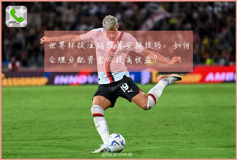 世界杯投注站预算安排技巧,如何合理分配资金以提高收益?