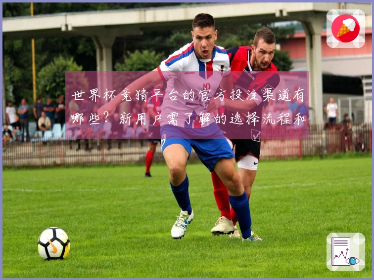 世界杯竞猜平台的官方投注渠道有哪些？新用户需了解的选择流程和注意事项