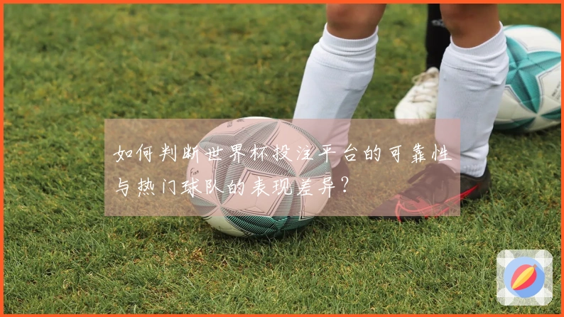 如何判断世界杯投注平台的可靠性与热门球队的表现差异？