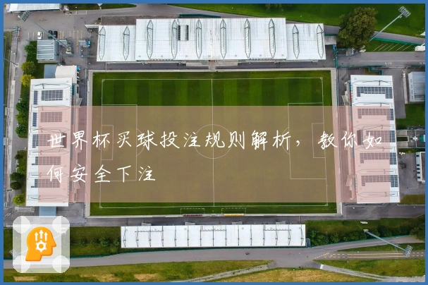 世界杯买球投注规则解析，教你如何安全下注