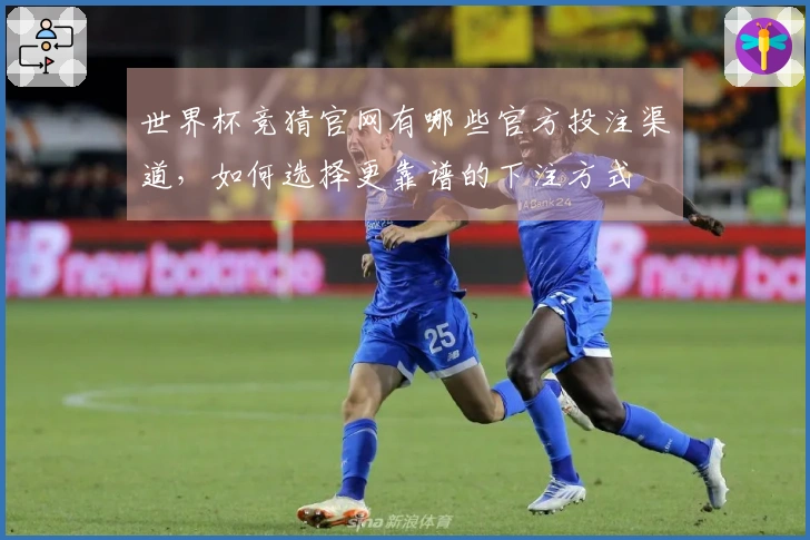 世界杯竞猜官网有哪些官方投注渠道，如何选择更靠谱的下注方式