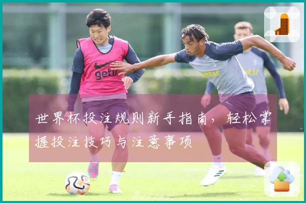 世界杯投注规则新手指南，轻松掌握投注技巧与注意事项