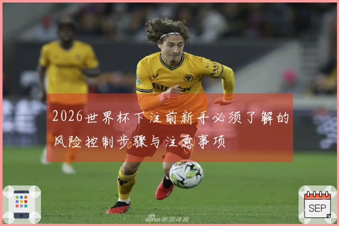 2026世界杯下注前新手必须了解的风险控制步骤与注意事项
