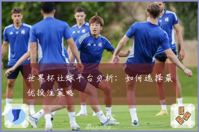 世界杯让球平台分析：如何选择最优投注策略