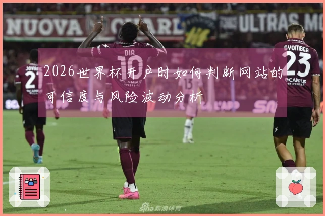 2026世界杯开户时如何判断网站的可信度与风险波动分析