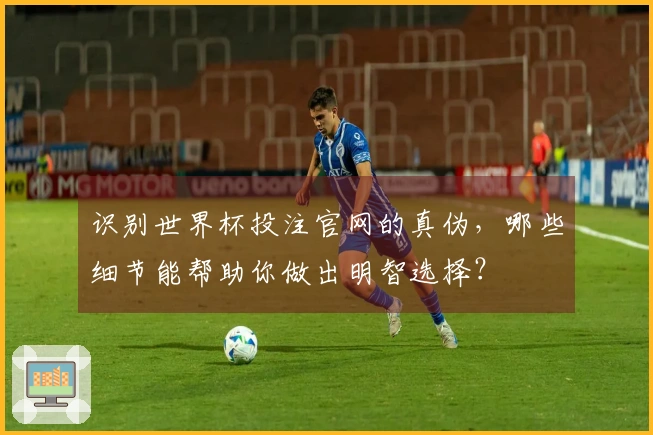 识别世界杯投注官网的真伪，哪些细节能帮助你做出明智选择？