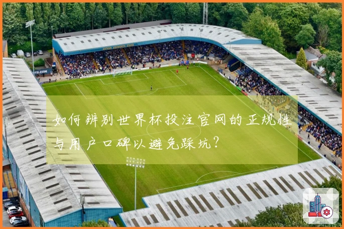 如何辨别世界杯投注官网的正规性与用户口碑以避免踩坑？